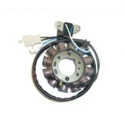 STATORE DUCATI HUSQVARNA 310 TE 2011-2012