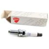 Ducati Spark Plug MAR9A-J -Ducati Shop ducati spark plug mar9a j